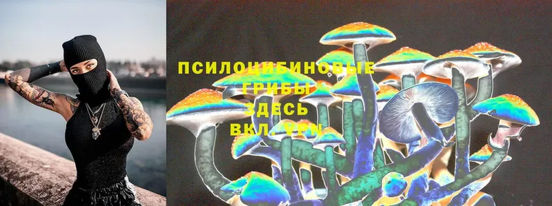 Галлюциногенные грибы Cubensis  дарнет шоп  Бузулук 